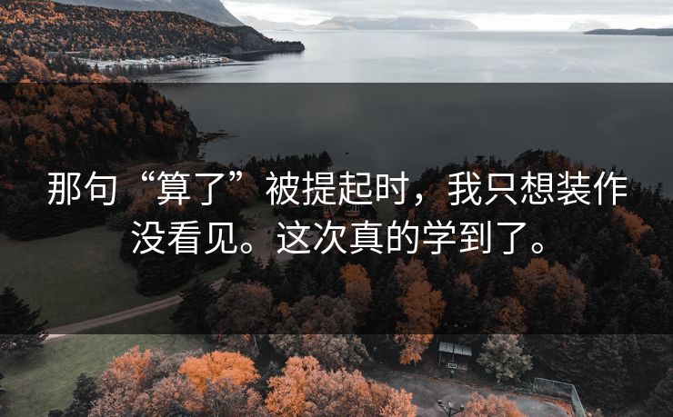 那句“算了”被提起时，我只想装作没看见。这次真的学到了。